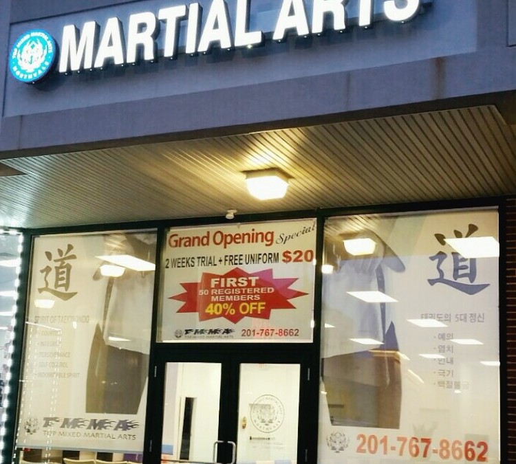 top-mixed-martial-arts-photo